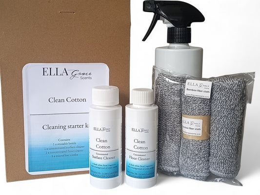 Starter Cleaning Kit